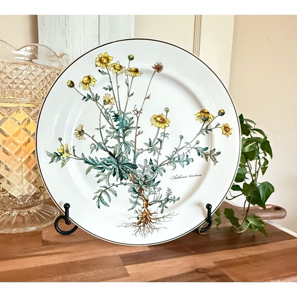 SET/4 Villeroy & Boch,”Botanica Collection”,10.5” Dinner Plates,Anthemis & Malva - Picture 9 of 15